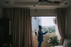 commercial-pest-control commercial pest control