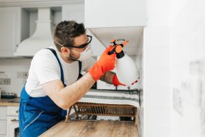 residential-indianapolis-pest-control residential indianapolis pest control